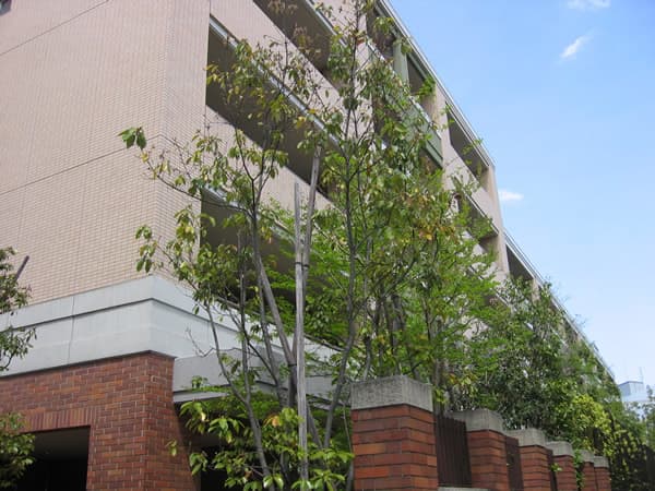 グランドメゾン藤が丘 3