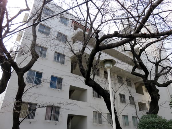 ドルフ青葉台2号棟 2