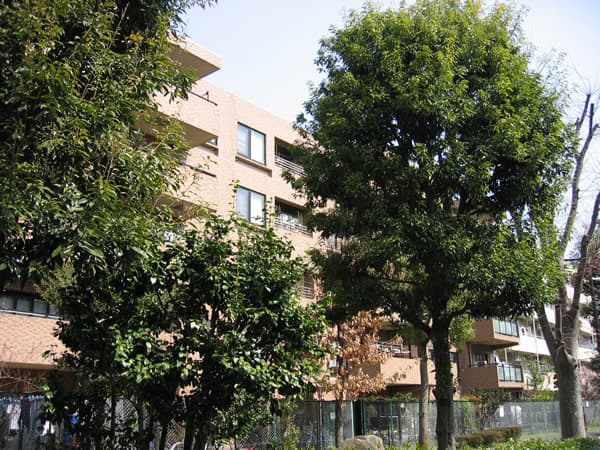 ダイアパレスグランジェ府中是政 3