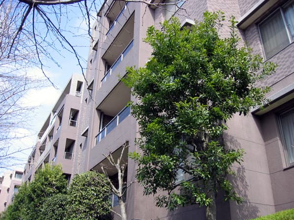 フォンテーヌブロー青葉台A棟 2