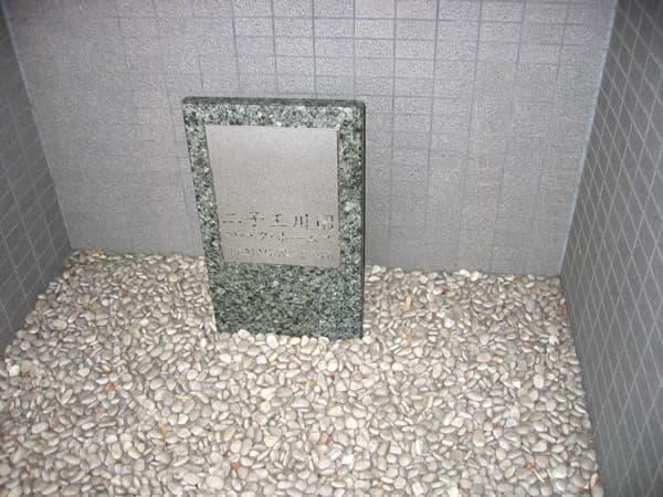 二子玉川園パークホームズ 5