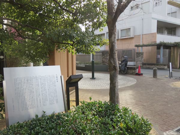 イオシスガーデン 11