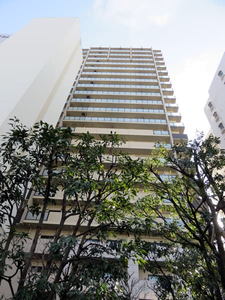 ザ・山王タワー 4