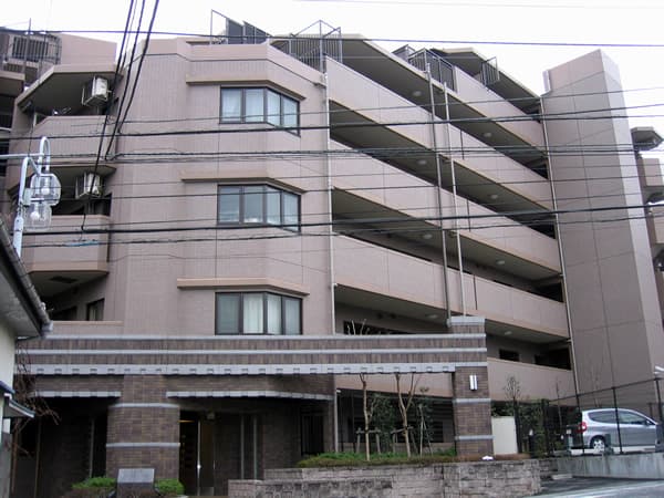 ナイスアーバン溝の口 1