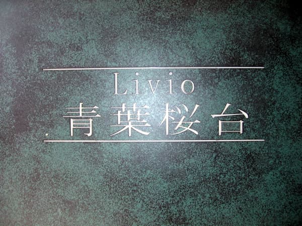 リビオ青葉桜台パークエミネンス 5