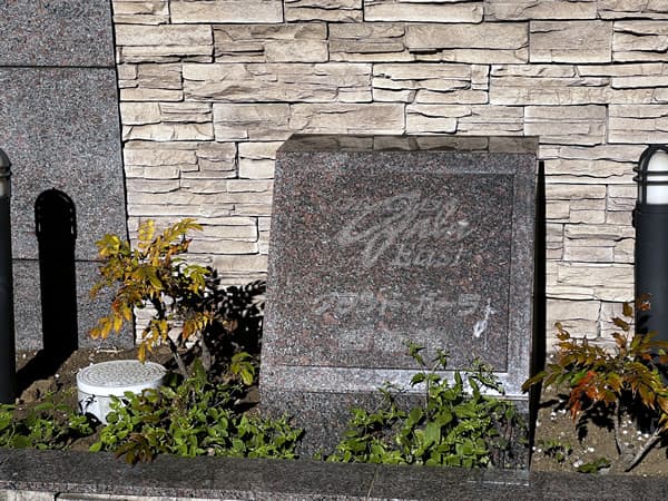 グランドガーラ西新宿イースト 9