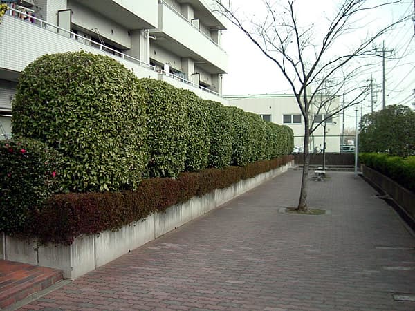 ローヤルシティ鴨居1番館 5