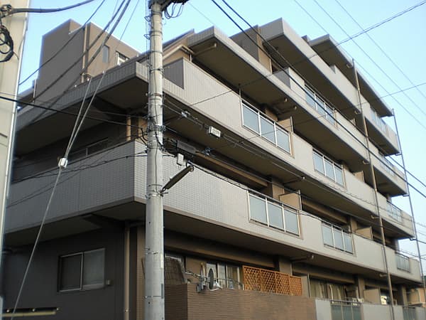 ミオカステーロ十日市場ステッサ 1