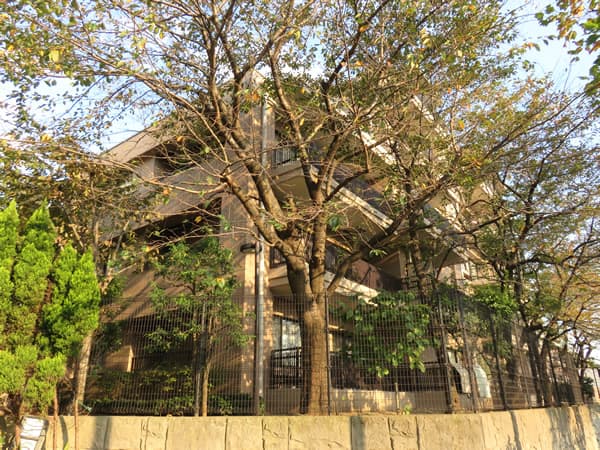 コスモ宮前平ヒルズ 2