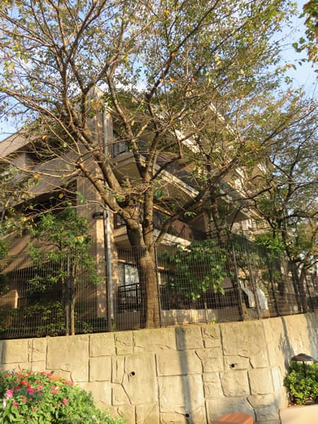 コスモ宮前平ヒルズ 3