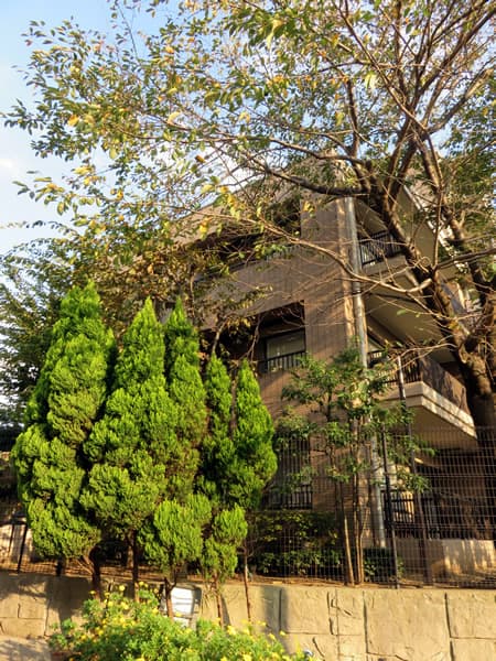 コスモ宮前平ヒルズ 4