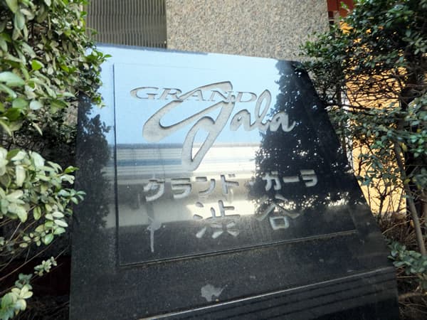 グランドガーラ渋谷 6