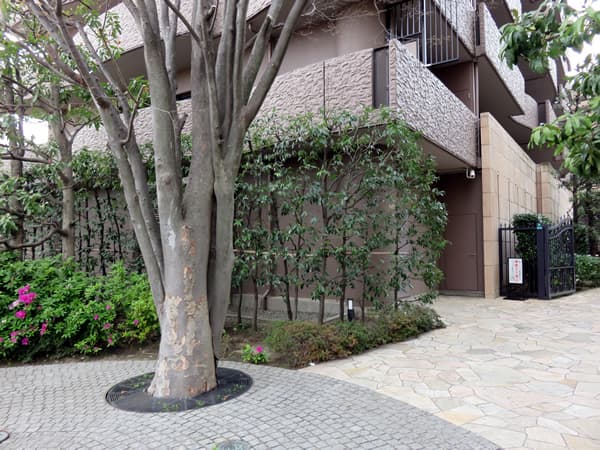 ザ・ウインベルグラン町田 11