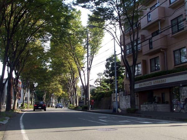 ダイアパレス青葉台ファインアベニュー 3