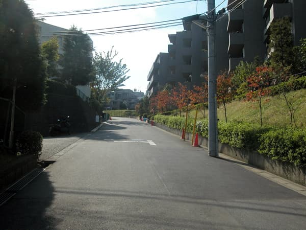 ヴィルヌーブ鷺沼2番館 8