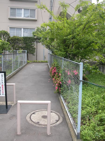 ウインザーハイム宮前平アーベイン 6