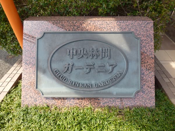 中央林間ガーデニア 8