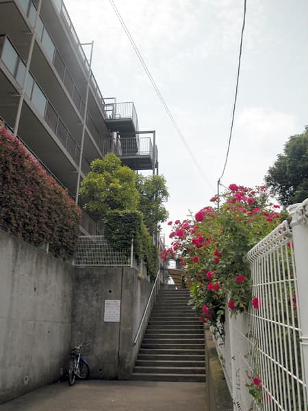 ルミネたまプラーザ 3