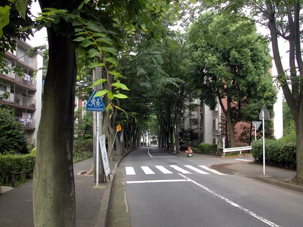 宮前平ロイヤルマンション 5