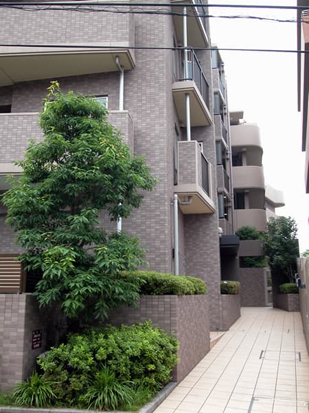 ローズウッド宮前平 2