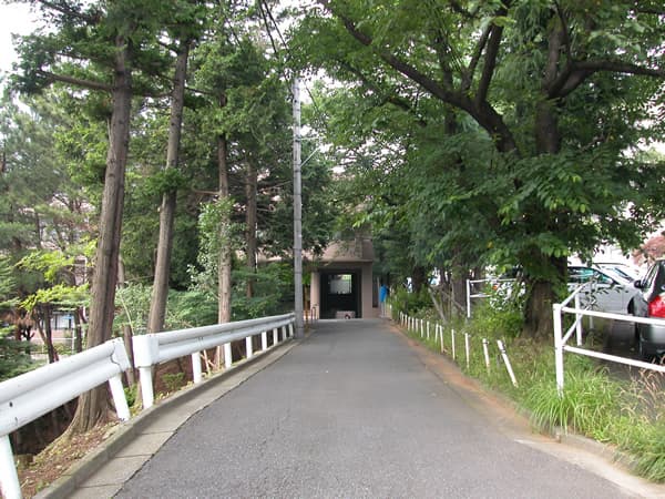 コスモけやき平 5