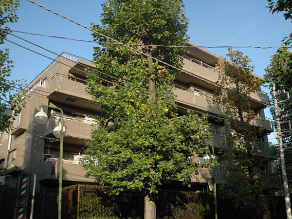 シーアイマンションたまプラーザ 1