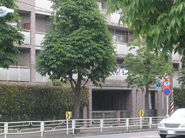 セントエルモ宮前平 3