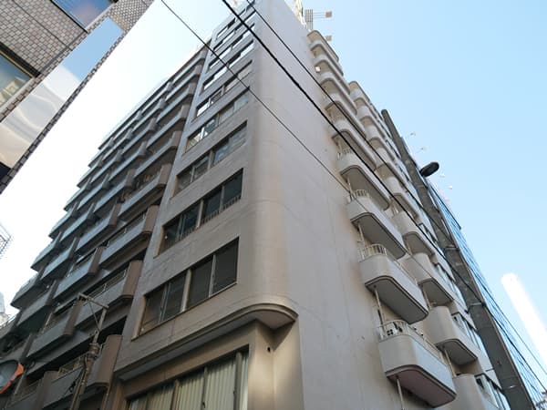 東カングランドマンションキャッスル池袋 1