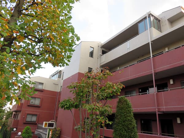 ヒルハイツ宮前平ウエスト 6