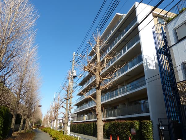 エンゼルシーズンフォートつきみ野 6