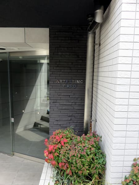 アルテシモカーロ 8