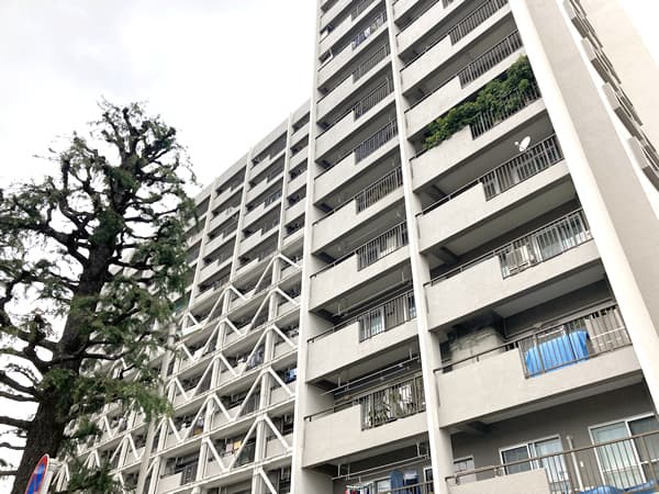 柿の木坂パレス 3