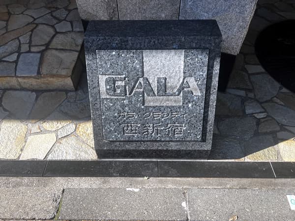 ガラグランディ西新宿 3