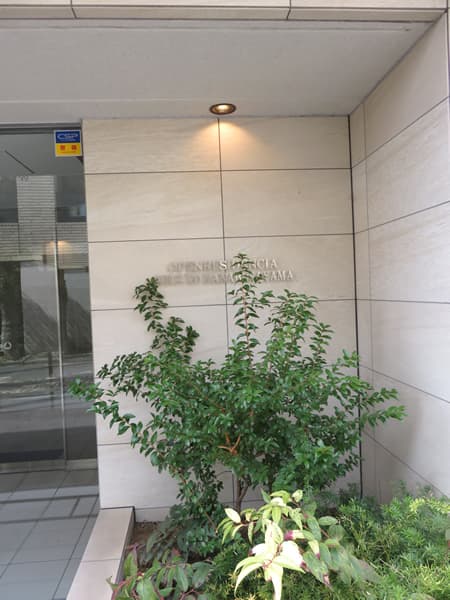 オープンレジデンシア目黒花房山 6