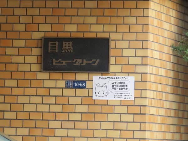 目黒ビューグリーン 11