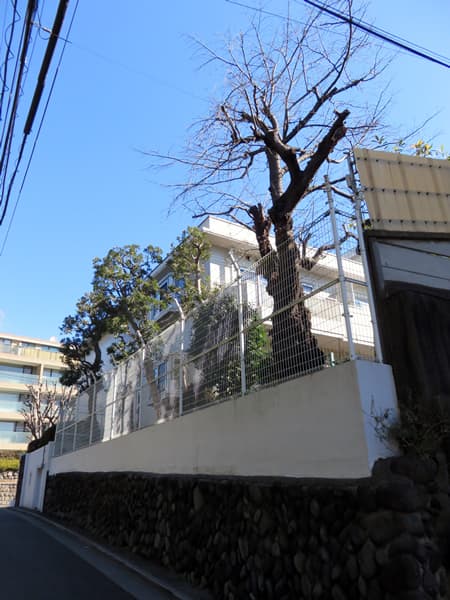 大森山王ホームズ 2