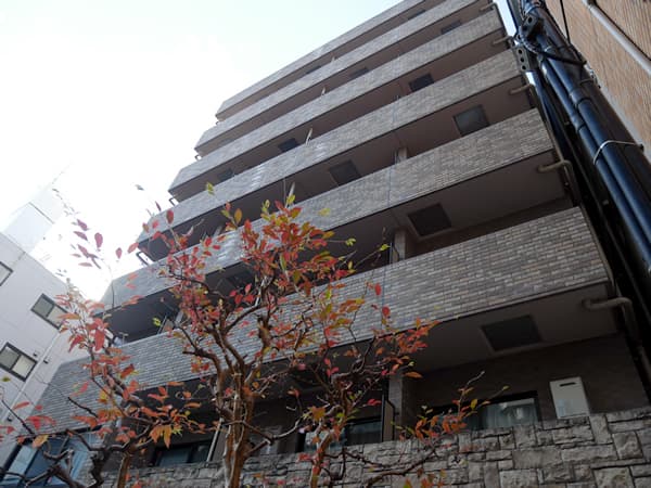 トーシンフェニックス高円寺3番館 3