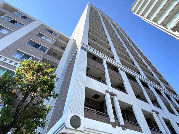 レグノセレーノ 5