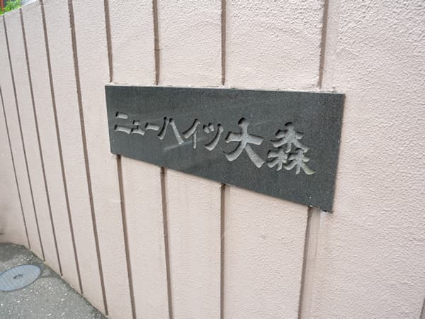 ニューハイツ大森 10