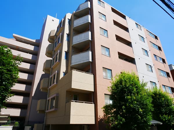 コンフィール目白 1