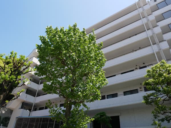 東急ドエルデュエット石川台 1