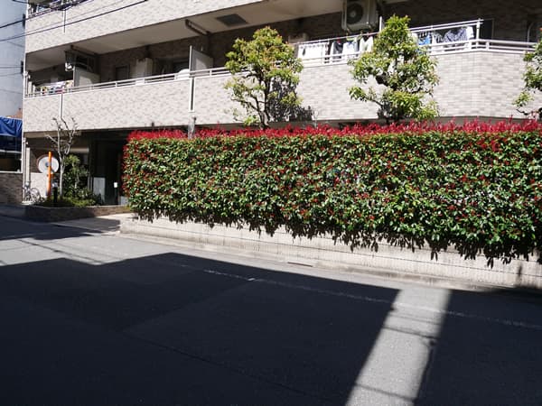 サニーコート大森 6