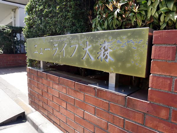 ニューライフ大森 10