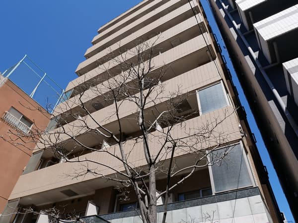 パレステュディオディム大森 1