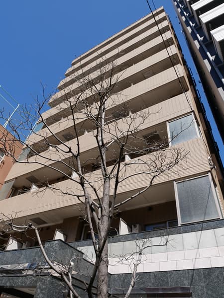 パレステュディオディム大森 2