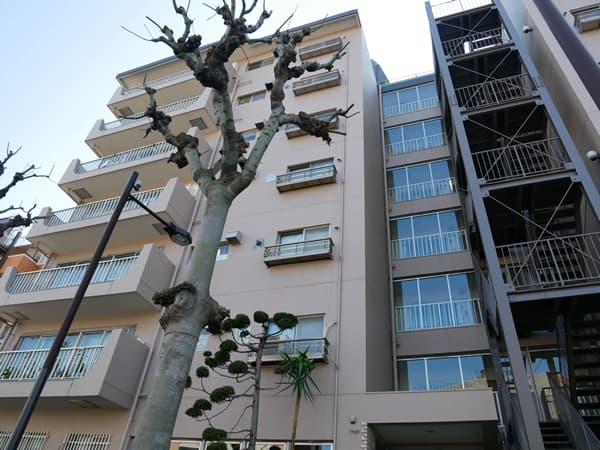 ハイツ上池台 1