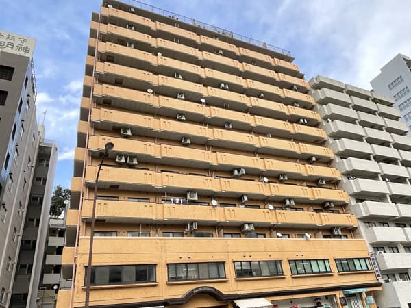 ライオンズプラザお茶の水 1