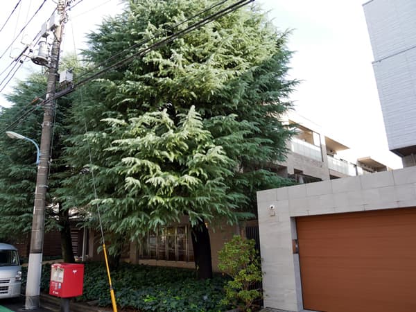 ドレッセ目白近衛町プレゼンス 4