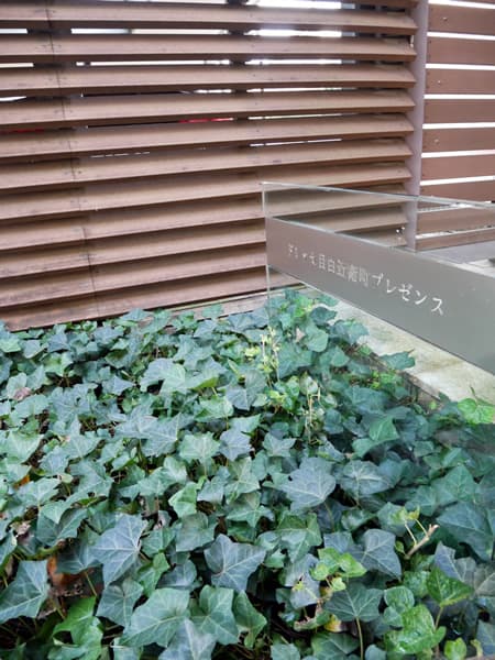 ドレッセ目白近衛町プレゼンス 7