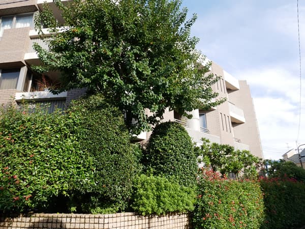 グローイングステージ目白2番館 21